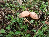 Rifugio_Saletti - 20101010 026.jpg